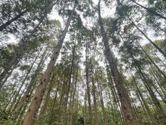 -同里国家湿地公园