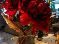 -渡娘火锅(大兴大悦春风里店)