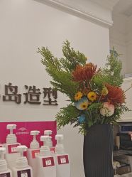 -YESIDO椰岛造型