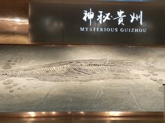 -贵州省地质博物馆