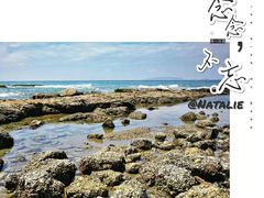 -盐洲岛