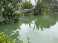 -靖西鹅泉风景区