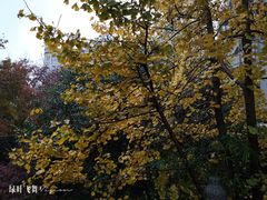 -杭州市第三人民医院