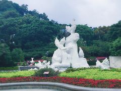 -金鸡山公园