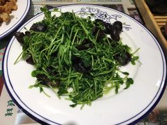 清炒豆芽菜-赵记煎饼卷大葱(东岳店)