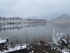 -大九湖