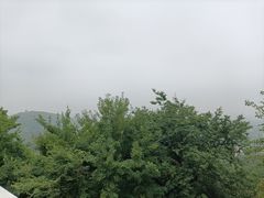 -上海佘山国家森林公园西佘山园