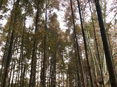 -范蠡湖公园