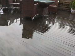 -维园港式茶餐厅(龙岗盛平店)