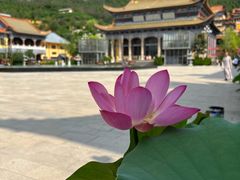 -正觉寺