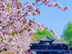-海棠花溪(元大都城垣遗址公园)