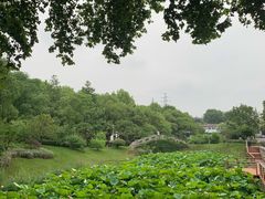 -太子山公园(园东路)