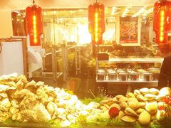 -必点海鲜·鲅鱼水饺(鞍山西道店)