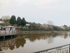 -马帮寨院坝火锅(龙港公园店)