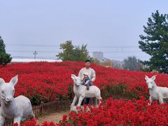 -羊亭河湿地公园