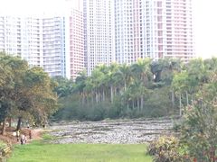 -聚龙山公园