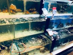水产区-盒马鲜生(杭州运河上街店)