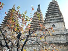 -北京石刻艺术博物馆(五塔寺)