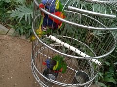 -南宫五洲植物乐园