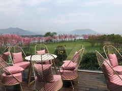 -福建鲤鱼洲酒店