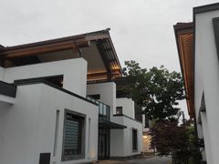 -广富林郊野公园