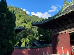 -报恩寺(平武县)