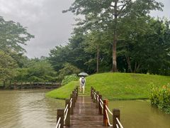 -中国科学院西双版纳热带植物园