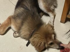 -安吉龙王山峡谷漂流