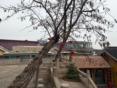 -无锡惠山寺