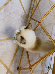 -元一肌肤管理中心