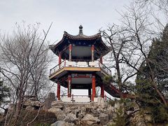 -莲花池公园