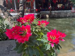 -VENCHI 闻绮(北京国贸商城店)