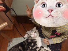 -绒爪撸猫下午茶·猫咖