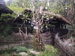 -黄公望隐居地