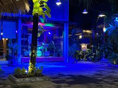 -Naughty Nuri’s Phuket