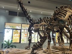-自贡恐龙博物馆