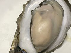 -烧蠔帮·生蚝海鲜牌档(观海店)