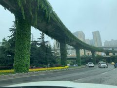 -泰顺江南春面馆