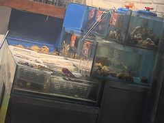 -潮庭·大连海鲜·炭火烧烤·扇贝王(大连店)