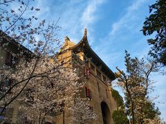 -武汉大学-樱园