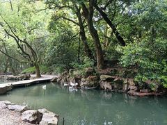 -兰亭风景区