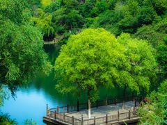 -九如山休闲旅游度假区