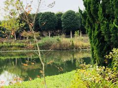 -武汉紫薇都市田园