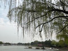 -苏州东太湖生态园