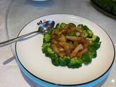 -中苑海韵