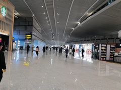 -青岛胶东国际机场