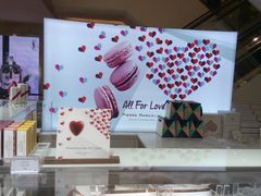 -Pierre Marcolini(德基广场店)