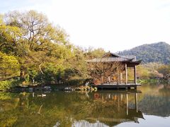 -西湖外事游船(花港观鱼码头)