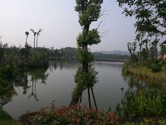 -枫香湖儿童公园