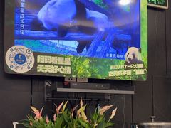 -眉州东坡(团结湖店)
